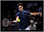 Roger Federer, Tennis